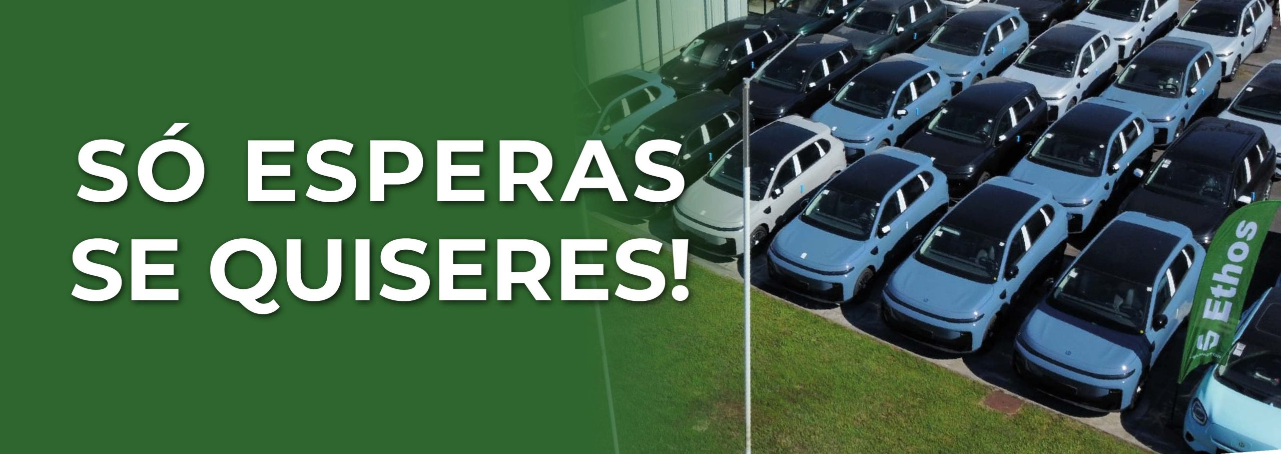 FORMATO BANNER leapmotor-01
